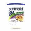 .Yogurt Fruit Granadilla 500g