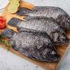 Fresh G & 1kg