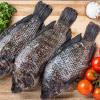 Fresh Bream 1Kg